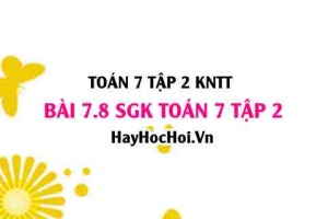 Bài 7.8 SGK Toán 7 tập 2 Kết nối tri thức